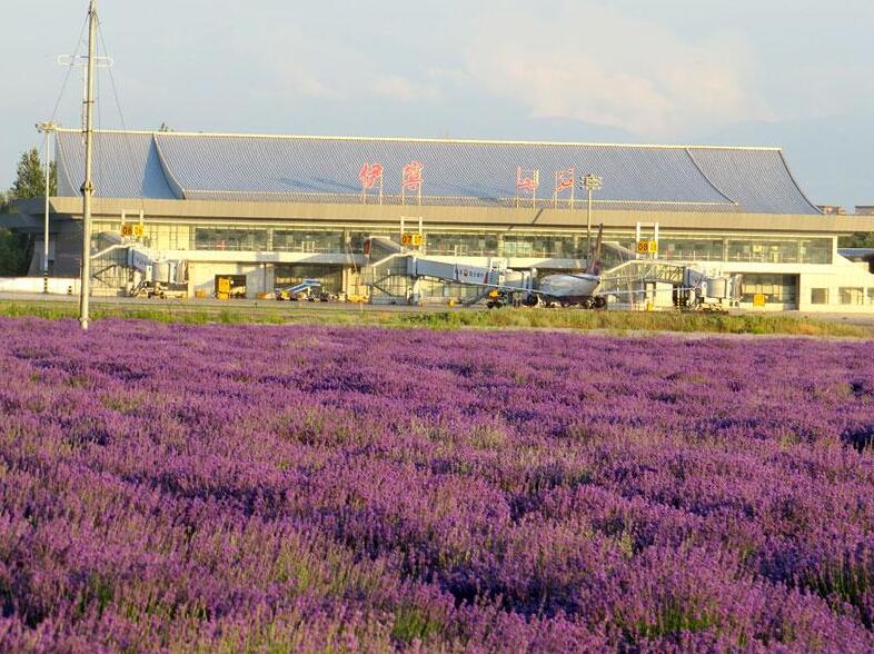 新疆伊宁机场广告