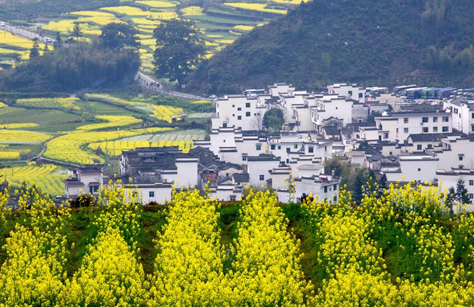 江西婺源全域旅游景区广告