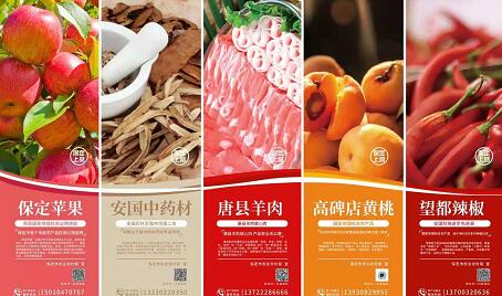 河北农业局保定高铁站广告