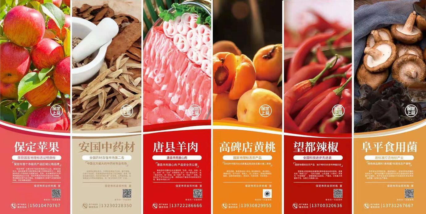 保定高铁站广告