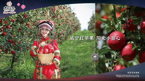 威宁苹果机场广告投放
