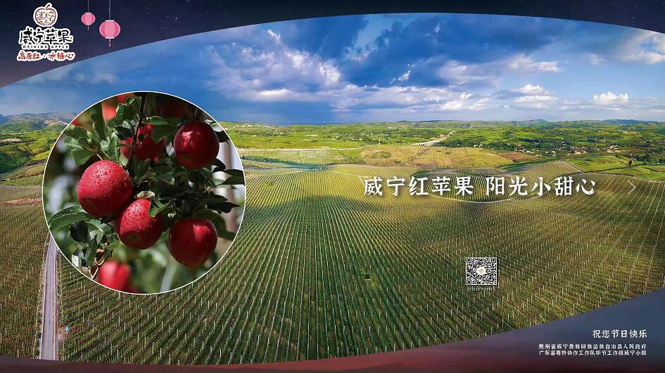 威宁苹果