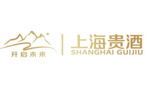 上海贵酒成都天府双塔灯光秀广告