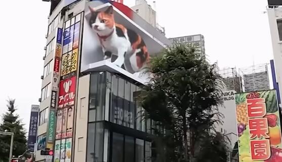 日本裸眼大屏广告